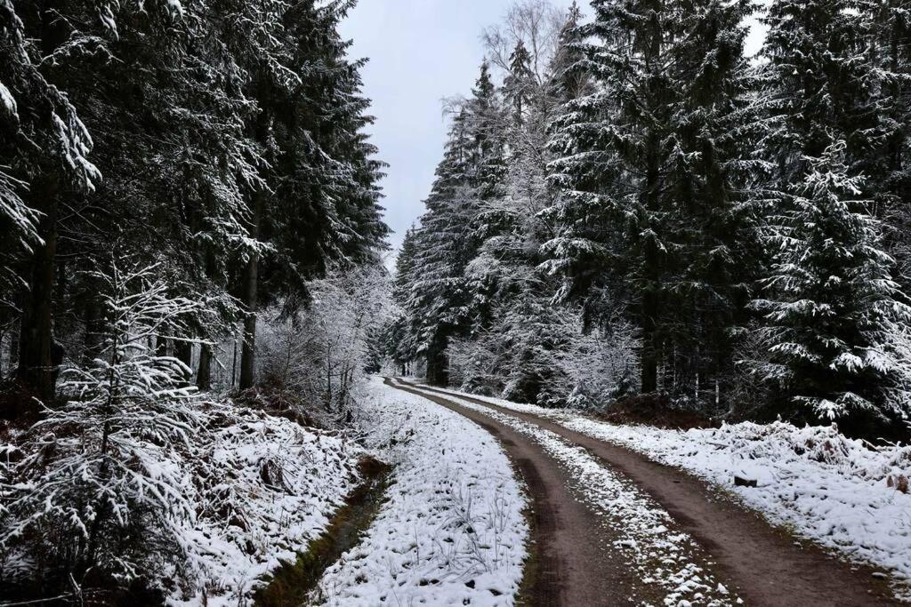 Altes Zollhaus Daire Hallschlag Dış mekan fotoğraf